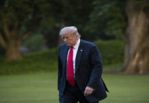 পর্নো তারকার মামলায় ট্রাম্প দোষী