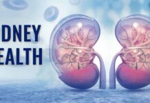 World Kidney Day: Some habits can damage your kidney