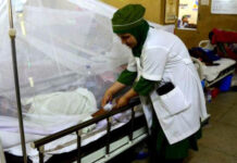 Bangladesh reports four dengue cases