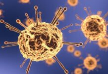 Bangladesh logs 4 Covid cases, zero death in 24 hours