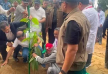 PM for collective efforts to make country greener